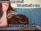 https://lolkot.ru/2010/08/25/grelka-dlya-ushey/