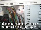 https://lolkot.ru/2014/07/05/greyka/