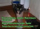 https://lolkot.ru/2014/12/24/greyu-boty/