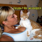 https://lolkot.ru/2012/02/20/grud/