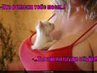https://lolkot.ru/2010/10/03/grudi-obyom/