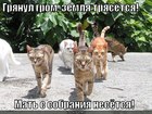 https://lolkot.ru/2012/05/30/gryanul-grom/