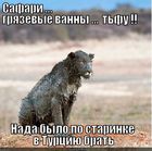 https://lolkot.ru/2012/03/13/gryazevyye-vanny/