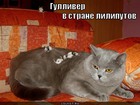https://lolkot.ru/2011/11/06/gulliver/