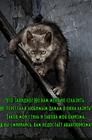 https://lolkot.ru/2016/04/03/harizmatichnyy-voknalaz/