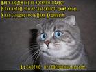 https://lolkot.ru/2016/02/02/hitraya-logika/