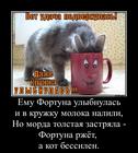 https://lolkot.ru/2013/03/19/hitraya-morda-fortuny/