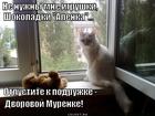 https://lolkot.ru/2014/12/14/hochu-k-muryonke/