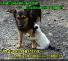 https://lolkot.ru/2015/06/29/hochu-s-toboy/