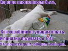 https://lolkot.ru/2010/11/02/horosho-alkogolikom-byt/