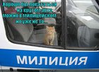 https://lolkot.ru/2011/11/29/horosho-by-pokatatsya/