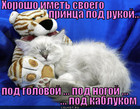 https://lolkot.ru/2012/08/09/horosho-imet-svoyego-printsa/