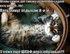https://lolkot.ru/2010/06/11/horosho-porabotal/