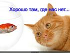 https://lolkot.ru/2014/02/06/horosho-tam-gde-nas-net/