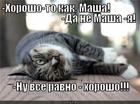 https://lolkot.ru/2012/08/31/horosho-to-kak-2/