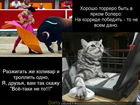 https://lolkot.ru/2012/01/14/horosho-torrero-byt/