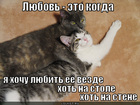 https://lolkot.ru/2012/07/11/hot-na-stene/