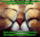 https://lolkot.ru/2013/12/05/hot-pryachsya-hot-ne-pryachsya-vsyo-ravno-moya-tys/