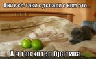 https://lolkot.ru/2012/04/06/hotel-bratika/