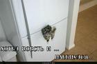 https://lolkot.ru/2011/10/20/hotel-poyest/