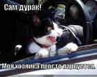 https://lolkot.ru/2012/09/03/hozyayka-prosto-parkuyetsya/