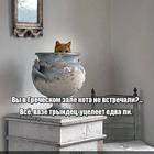 https://lolkot.ru/2024/06/10/hranitel-cherepkov/