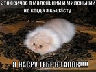 https://lolkot.ru/2010/06/08/hudsheye-vperedi/