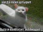 https://lolkot.ru/2012/03/23/i-kolbasit-i-plyuschit/