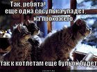 https://lolkot.ru/2011/03/26/i-kotlety-i-bulon/