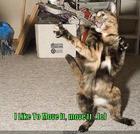 https://lolkot.ru/2011/04/20/i-like-to-move-it/