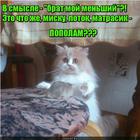 https://lolkot.ru/2015/11/03/i-moy-kombinezonchik-on-tozhe-donashivat-budet/