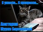 https://lolkot.ru/2011/09/08/i-uzhasna-i-prekrasna/