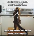 https://lolkot.ru/2024/05/27/i-o-hozyayki/