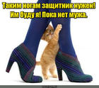 https://lolkot.ru/2016/07/14/i-o-zaschitnika/