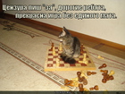 https://lolkot.ru/2011/05/27/igra-mata/
