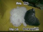 https://lolkot.ru/2011/05/04/in-yan-2/