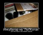 https://lolkot.ru/2011/01/15/inkubator-na-lolkotah/