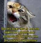 https://lolkot.ru/2015/10/31/insayderskaya-informatsiya/