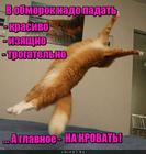 https://lolkot.ru/2016/03/28/instruktsiya-pravilnogo-obmoroka/