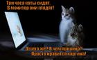 https://lolkot.ru/2014/11/17/interaktivnaya-galereya/