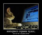 https://lolkot.ru/2012/06/14/internet-strana-chudes/