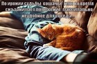 https://lolkot.ru/2012/07/22/ironiya-sudby/