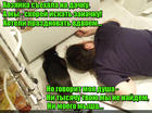 https://lolkot.ru/2016/03/13/ischeznoveniye-zanachki/