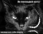 https://lolkot.ru/2010/12/05/isportil-karmu/