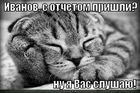 https://lolkot.ru/2011/03/12/ivanov-s-otchetom-prishli-nu-ya-vas-slushayu/