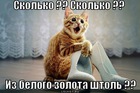 https://lolkot.ru/2012/03/16/iz-belogo-zolota/