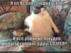 https://lolkot.ru/2013/10/25/iz-golovy-v-golovku/