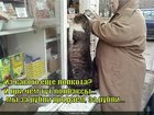 https://lolkot.ru/2011/05/11/iz-kakogo-lolkota/