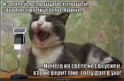 https://lolkot.ru/2013/05/14/iz-poley-donositsya-naley/