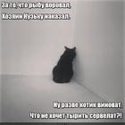 https://lolkot.ru/2020/06/11/izbiratelnyy-vorishka/
